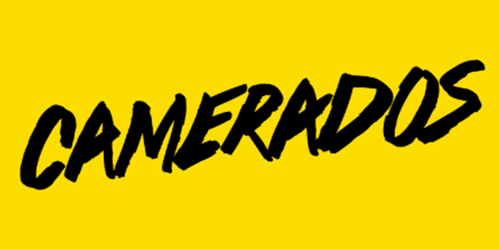 Camerados